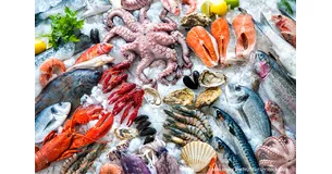 Fishery Products