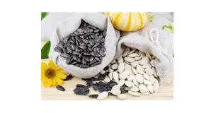 Seeds and Seeds Productions